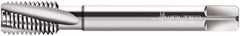 Walter-Prototyp - M16x2.00 Metric 4 Flute 6HX Modified Bottoming Spiral Flute Tap - Powdered Metal, Bright Finish, 110mm OAL, Right Hand Flute, Right Hand Thread, Series 20466 - Caliber Tooling