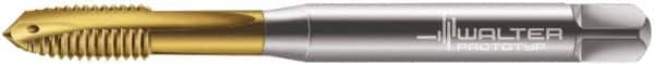 Walter-Prototyp - M6x1.00 Metric, 3 Flute, TiN Finish, Powdered Metal Spiral Point Tap - Plug Chamfer, Right Hand Thread, 80mm OAL, 15mm Thread Length, 6mm Shank Diam, 6H Class of Fit, Series 7021345 - Exact Industrial Supply