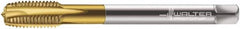 Walter-Prototyp - M16x2.00 Metric, 3 Flute, TiN Finish, Powdered Metal Spiral Point Tap - Plug Chamfer, Right Hand Thread, 110mm OAL, 25mm Thread Length, 12mm Shank Diam, 6H Class of Fit, Series 7026365 - Exact Industrial Supply