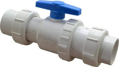 Little Giant Pumps - 2" PVC Check Valve - Inline, Union - Caliber Tooling