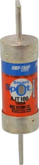 Ferraz Shawmut - 500 VDC, 600 VAC, 100 Amp, Time Delay General Purpose Fuse - Clip Mount, 4-5/8" OAL, 100 at DC, 200 at AC, 300 (Self-Certified) kA Rating, 1-1/16" Diam - Caliber Tooling