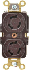 Hubbell Wiring Device-Kellems - 250 VAC, 15 Amp, L6-15R NEMA, Self Grounding Receptacle - 2 Poles, 3 Wire, Female End, Brown - Caliber Tooling