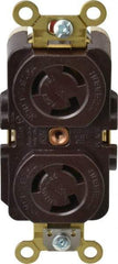 Hubbell Wiring Device-Kellems - 125 VAC, 15 Amp, L5-15R NEMA, Self Grounding Receptacle - 2 Poles, 3 Wire, Female End, Brown - Caliber Tooling