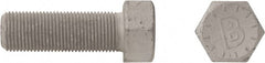 Bowmalloy - 7/16-20, 3/4" Long Hex Head Cap Screw - Caliber Tooling