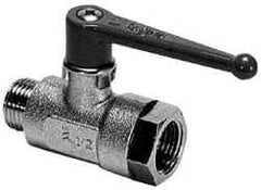 Legris - 1/8" Pipe, Brass Standard Ball Valve - 1 Piece, Inline - One Way Flow, MBSPP x FBSPP Ends, Lever Handle, 580 WOG - Caliber Tooling