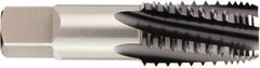 OSG - 1/4-18 NPTF, 3 Flutes, TiCN Coated, High Speed Steel, Interrupted Thread Pipe Tap - 9/16 Inch Shank Diameter, 9/16 Inch Shank Diameter, 1-1/16 Inch Thread Length, 0.42 Inch Square Size, 2-1/2 Chamfer, Series 12054 - Caliber Tooling