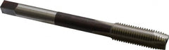 Hertel - M16x2.00 Metric Coarse 3 Flute D7 High Speed Steel Spiral Point Extension Tap - Plug Chamfer, 6" OAL, 6H Class of Fit - Caliber Tooling