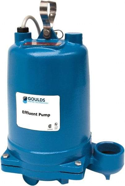 Goulds Pumps - 1 hp, 575 Amp Rating, 575 Volts, Single Speed Continuous Duty Operation, Effluent Pump - 3 Phase, Cast Iron Housing - Caliber Tooling