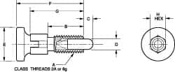 Vlier - M6x1.0, 13mm Thread Length, 0.118" Max Plunger Diam, 0.11 Lb Init to 0.34 Lb Final End Force, Knob Handle Plunger - Delrin Knob, 0.63" Body Length, 1/2" Length Under Head/Shoulder, 0.118" Plunger Projection - Caliber Tooling