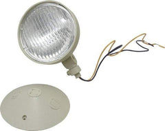 Mule - 1 Head, 12 VDC, Polycarbonate, Incandescent Remote Emergency Lighting Head - 25 Watt, Battery Not Included - Caliber Tooling