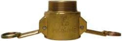 EVER-TITE Coupling Products - 2-1/2" Brass Cam & Groove Suction & Discharge Hose Female Coupler Male NPT Thread - Part B, 2-1/2" Thread, 250 Max psi - Caliber Tooling