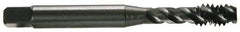 OSG - 3/4-16 UNF 4 Flute 2B Modified Bottoming Spiral Flute Tap - Vanadium High Speed Steel, TiCN Finish, 4-1/4" OAL, Right Hand Flute, Right Hand Thread, H5, Series 290 - Caliber Tooling