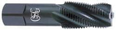 OSG - 3/4-14 NPT, 15° Helix, 4 Flutes, Modified Bottoming Chamfer, TiN Finish, High Speed Steel, Spiral Flute Pipe Tap - 29/32" Shank Diam, 1-3/8" Thread Length, 0.679" Square Size, Series 308 - Exact Industrial Supply