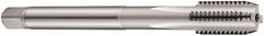 DORMER - 7/8-9 UNC 2B 4 Flute Bright Finish Cobalt Straight Flute Machine Tap - Bottoming, Right Hand Thread, 140mm OAL, 34mm Thread Length, Oversize - Exact Industrial Supply