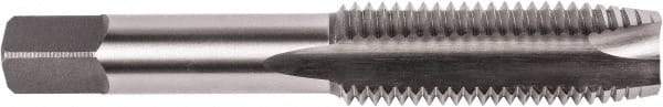 Union Butterfield - M16x2.00 Metric Coarse, 3 Flute, Bright Finish, High Speed Steel Spiral Point Tap - Plug Chamfer, Right Hand Thread, 3-13/16" OAL, 1-13/16" Thread Length, 0.48" Shank Diam, 6H Class of Fit, Series 1785NR - Exact Industrial Supply