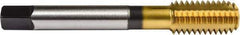 Union Butterfield - 1/2-13 UNC 2B/3B H8 Thread Limit Bottoming Thread Forming Tap - Powdered Metal High Speed Steel, TiN Finish, 3-3/8" OAL, 15/16" Thread Length, Right Hand Thread, Series 1641 - Caliber Tooling