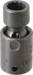 Proto - 1/4" Drive 8mm Standard Universal Impact Socket - 12 Points, 1-19/64" OAL - Caliber Tooling