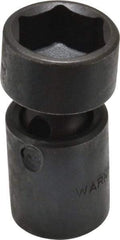 Proto - 3/8" Drive 19mm Standard Universal Impact Socket - 6 Points, 2-3/32" OAL - Caliber Tooling