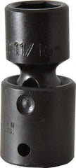 Proto - 1/2" Drive 11/16" Standard Universal Impact Socket - 6 Points, 2-19/32" OAL - Caliber Tooling