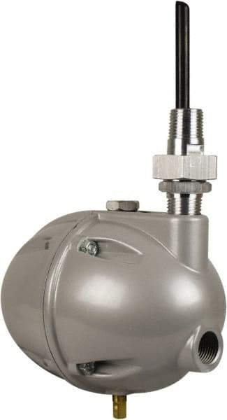 PRO-SOURCE - 1/2" Inlet, Mechanical Float Condensate Drain - 1/2" NPT Outlet, 45 to 230 psi - Caliber Tooling