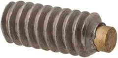 Made in USA - #4-40 UNC, 1/4" Length of Thread, Soft Tip Point Set Screw - Grade 18-8 Stainless Steel - Caliber Tooling