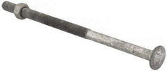 Value Collection - 1/2-13 UNC 10" Length Under Head, Standard Square Neck, Carriage Bolt - 1006-1050 Steel, Galvanized Zinc-Plated Finish - Caliber Tooling