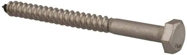 Value Collection - 1/4" Screw, 3" Length Under Head, Stainless Steel, Hex Head Lag Screw - Grade 18-8, Uncoated - Caliber Tooling