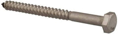 Value Collection - 1/4" Screw, 3" Length Under Head, Stainless Steel, Hex Head Lag Screw - Grade 18-8, Uncoated - Caliber Tooling