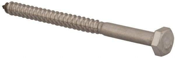 Value Collection - 1/4" Screw, 3-1/2" Length Under Head, Stainless Steel, Hex Head Lag Screw - Grade 18-8, Uncoated - Caliber Tooling