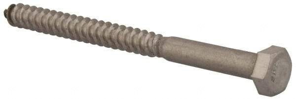 Value Collection - 5/16" Screw, 4" Length Under Head, Stainless Steel, Hex Head Lag Screw - Grade 18-8, Uncoated - Caliber Tooling