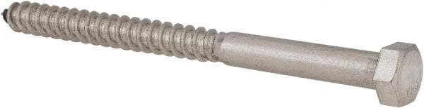 Value Collection - 3/8" Screw, 5" Length Under Head, Stainless Steel, Hex Head Lag Screw - Grade 18-8, Uncoated - Caliber Tooling