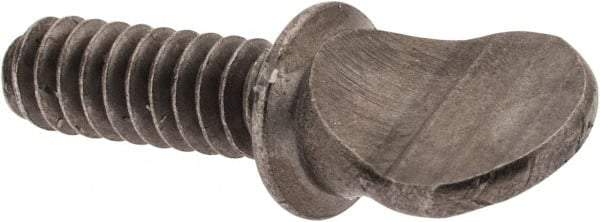 Value Collection - #6-32 Oval Shoulder Grade 2 Steel Thumb Screw - 3/8" OAL, 0.3" Head Height, Uncoated - Caliber Tooling