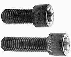 Camcar - 3/8-16 UNC Torx Plus Drive, Socket Cap Screw - Alloy Steel, Black Oxide Finish, Partially Threaded, 2" Length Under Head - Caliber Tooling