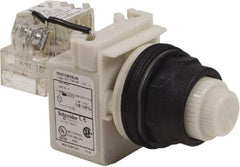 Schneider Electric - 120 V White Lens LED Press-to-Test Indicating Light - Round Lens, Screw Clamp Connector, Corrosion Resistant, Dust Resistant, Oil Resistant - Caliber Tooling