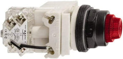 Schneider Electric - 120 V Red Lens LED Press-to-Test Indicating Light - Octagonal Lens, Screw Clamp Connector, Vibration Resistant - Caliber Tooling