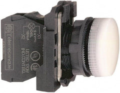 Schneider Electric - 250 V White Lens LED Pilot Light - Round Lens, Screw Clamp Connector, 30mm Wide, Vibration Resistant, Water Resistant - Caliber Tooling