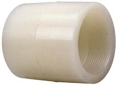 NIBCO - 1" PVDF Plastic Pipe Adapter Coupling - Schedule 80, S x FIPT End Connections - Caliber Tooling