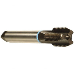 Emuge - 3/8-19" BSPP, 4 Flutes, Modified Bottoming Chamfer, Nitride Coated, Cobalt British Standard Pipe Tap - 0.4724" Shank Diam, 0.3543" Square Size, Series Rekord A - Exact Industrial Supply