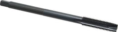 Kennametal - M12x1.75 Metric Coarse 3 Flute D6 Oxide Finish High Speed Steel Spiral Point Extension Tap - Plug Chamfer, 6" OAL, 6H Class of Fit - Caliber Tooling