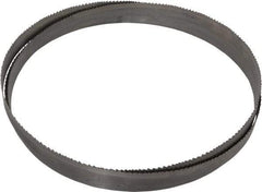 Starrett - 6 to 10 TPI, 7' 9" Long x 3/4" Wide x 0.035" Thick, Welded Band Saw Blade - Bi-Metal, Toothed Edge, Raker Tooth Set, Contour Cutting - Caliber Tooling