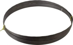 Starrett - 6 to 10 TPI, 12' 10" Long x 1" Wide x 0.035" Thick, Welded Band Saw Blade - Bi-Metal, Toothed Edge, Raker Tooth Set, Contour Cutting - Caliber Tooling