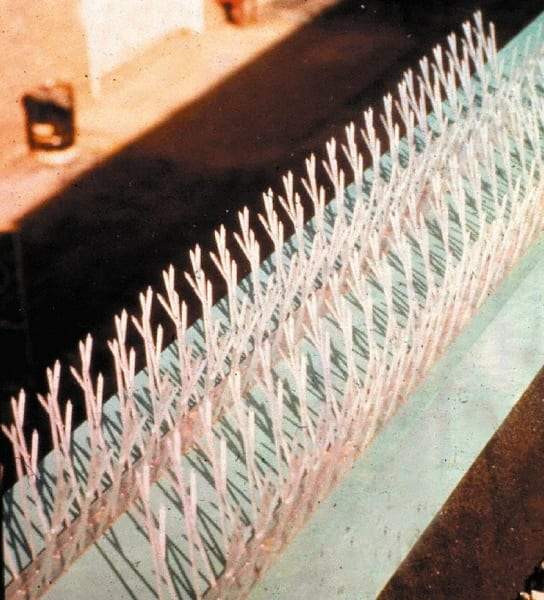 Bird-X - Plastic Bird Spikes - 4-1/2 Inch High x 2-1/4 Inch Wide x 100 Ft. Long x 0.5 Inch Thick - Caliber Tooling