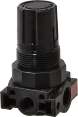 Parker - 1/4 NPT Port, Plastic Miniature Regulator - 0 to 60 psi Range, 150 Max psi Supply Pressure, 1/8" Gauge Port Thread, 1.6" Wide x 3.1" High - Caliber Tooling