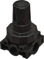 Parker - 3/8 NPT Port, Plastic Miniature Regulator - 0 to 60 psi Range, 150 Max psi Supply Pressure, 1/4" Gauge Port Thread, 2.06" Wide x 3.43" High - Caliber Tooling