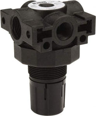 Parker - 3/8 NPT Port, Plastic Miniature Regulator - 0 to 125 psi Range, 150 Max psi Supply Pressure, 1/4" Gauge Port Thread, 2.06" Wide x 3.43" High - Caliber Tooling