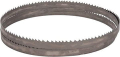 Starrett - 2 to 3 TPI, 11' 6" Long x 1" Wide x 0.035" Thick, Welded Band Saw Blade - Bi-Metal, Toothed Edge, Modified Tooth Set, Contour Cutting - Caliber Tooling