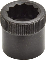 Holo-Krome - 3/4-10" Thread Uncoated Steel Allen Nut - 3/4" Diam, 3/4" Hex Key - Caliber Tooling