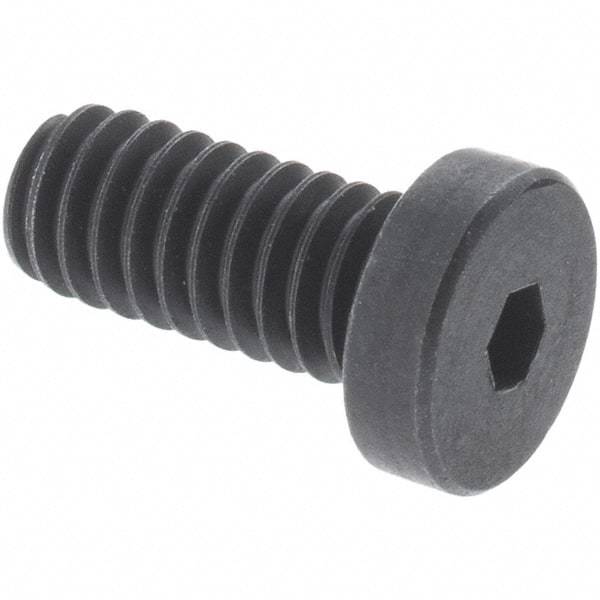 Holo-Krome - M12x1.75 Metric Coarse Hex Socket Drive, Low Socket Cap Screw - Grade 10.9 Alloy Steel, Black Oxide Finish, Fully Threaded, 100mm Length Under Head - Caliber Tooling