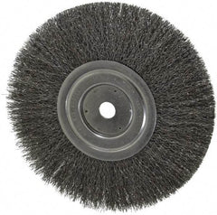 Weiler - 8" OD, 5/8" Arbor Hole, Crimped Steel Wheel Brush - 1/2" Face Width, 2-1/16" Trim Length, 0.0118" Filament Diam, 6,000 RPM - Caliber Tooling