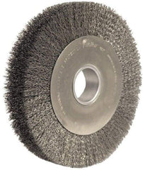 Weiler - 10" OD, 2" Arbor Hole, Crimped Steel Wheel Brush - 2" Face Width, 1-7/8" Trim Length, 0.02" Filament Diam, 4,000 RPM - Caliber Tooling